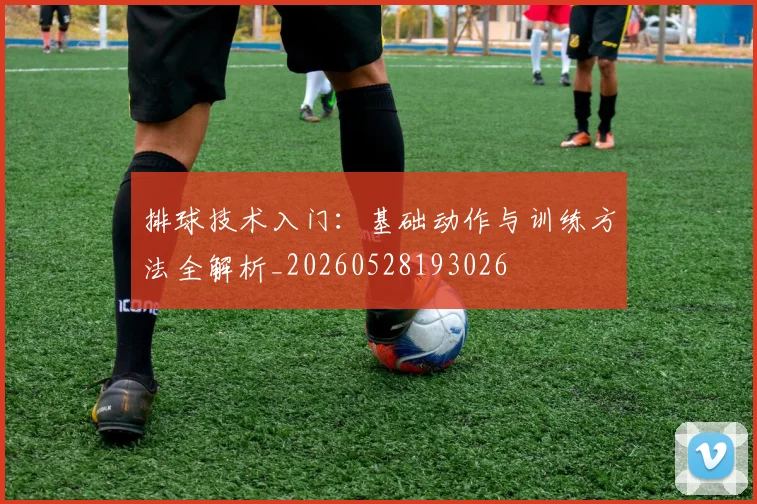 排球技术入门：基础动作与训练方法全解析_20260528193026