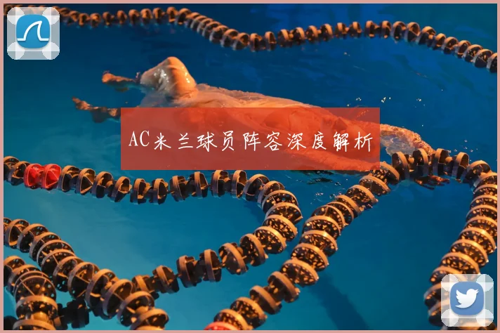 AC米兰球员阵容深度解析