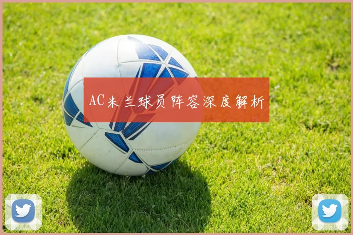 AC米兰球员阵容深度解析