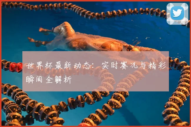 世界杯最新动态：实时赛况与精彩瞬间全解析
